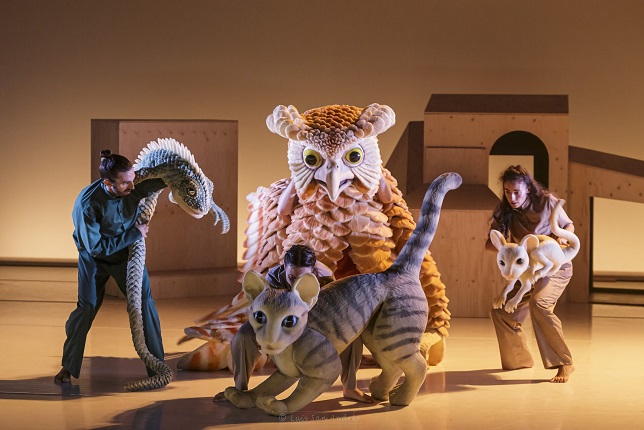 La gata que quiso cambiar la historia